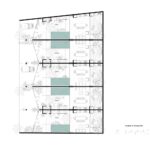 312-palmeras-plantaconjunto-2-3