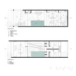 312-palmeras-plantatipo-2-5