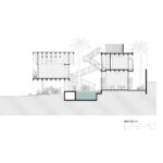 312-palmeras-seccion-2-6