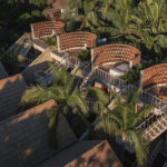 palmeras-productora_1