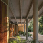 palmeras-productora_10