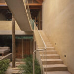 palmeras-productora_11