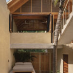 palmeras-productora_14