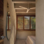 palmeras-productora_15