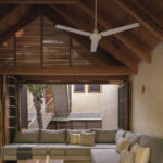 palmeras-productora_17