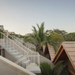 palmeras-productora_18