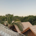 palmeras-productora_19