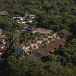 palmeras-productora_2