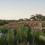 palmeras-productora_20