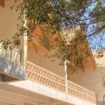 palmeras-productora_21