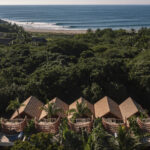 palmeras-productora_3