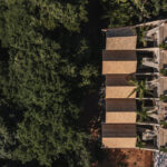 palmeras-productora_4