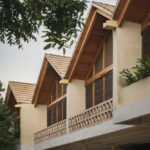 palmeras-productora_5