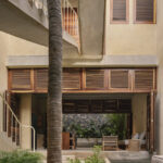 palmeras-productora_6