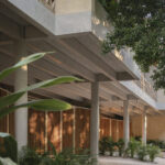 palmeras-productora_8